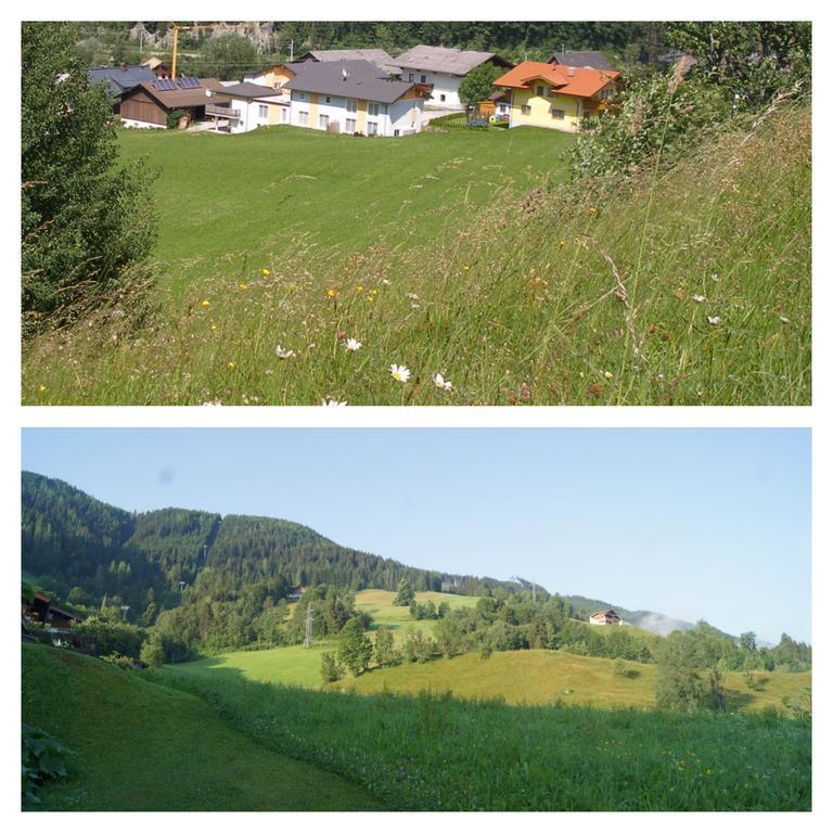 Zeffererhof Apartment Schladming Bagian luar foto